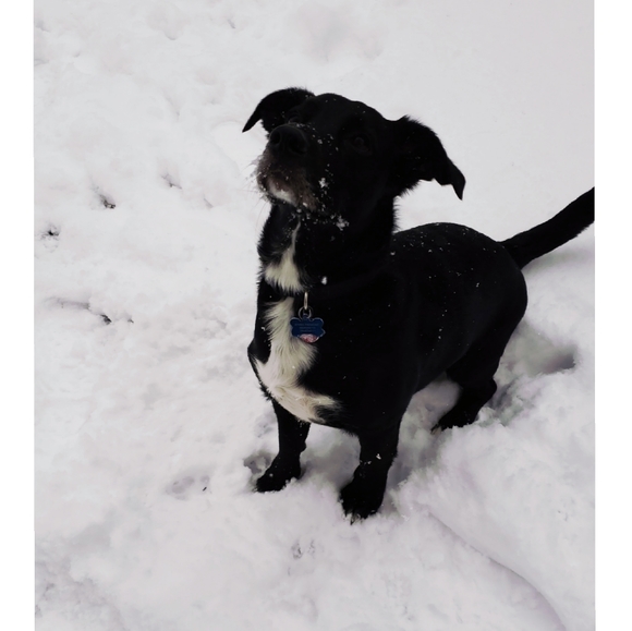 ๐ฆ - Picture 2 of 5